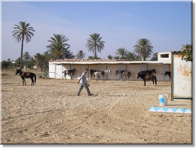 djerba_086.JPG