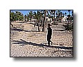 djerba_096.JPG