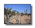 djerba_098.JPG