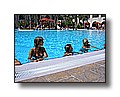 djerba_175.JPG