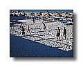 djerba_196.JPG